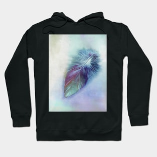 Blue Feather Hoodie